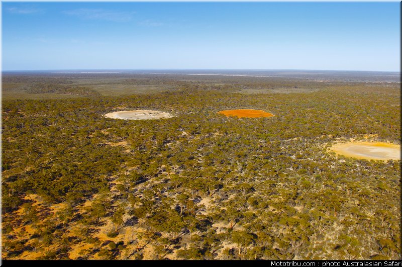 australasian_safari_026_2010