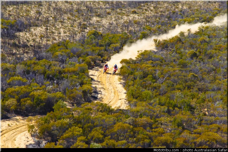 australasian_safari_027_2010