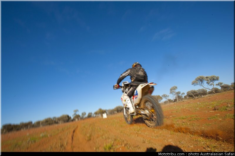 australasian_safari_035_2010