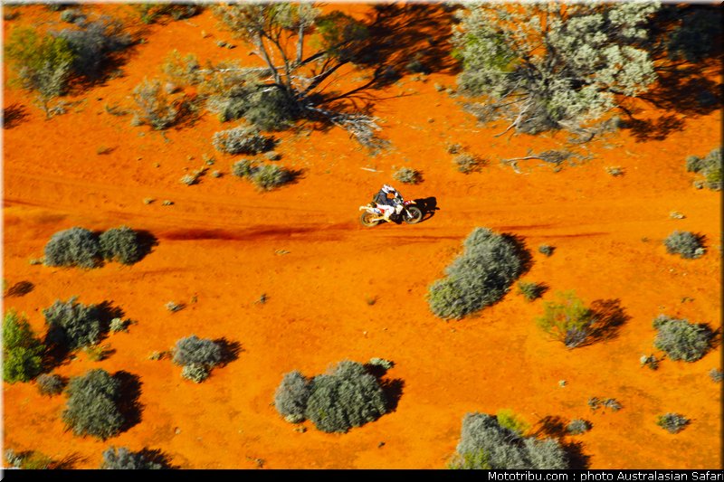 australasian_safari_036_2010