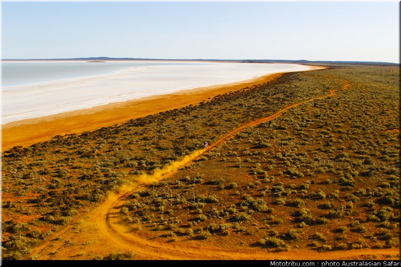 australasian_safari_039_2010