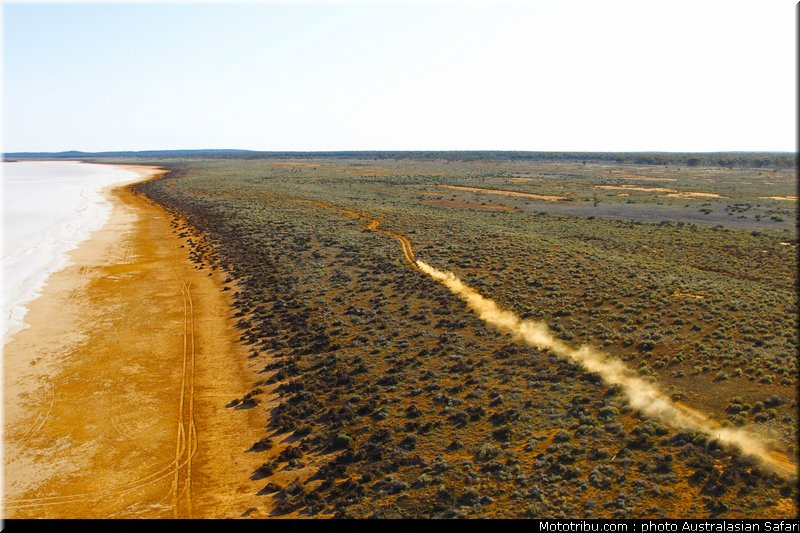 australasian_safari_040_2010