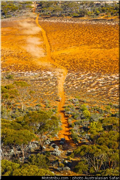 australasian_safari_041_2010