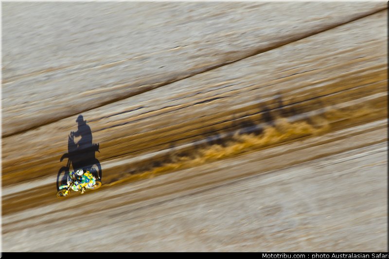 australasian_safari_045_2010
