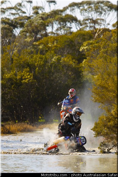 australasian_safari_046_2010