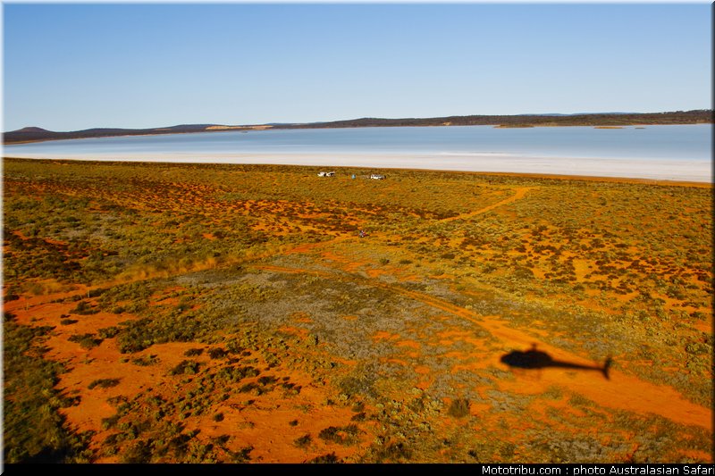 australasian_safari_052_2010