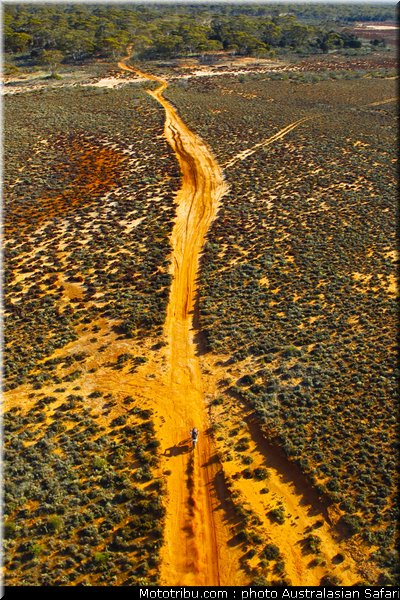 australasian_safari_053_2010