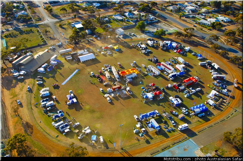 australasian_safari_056_2010