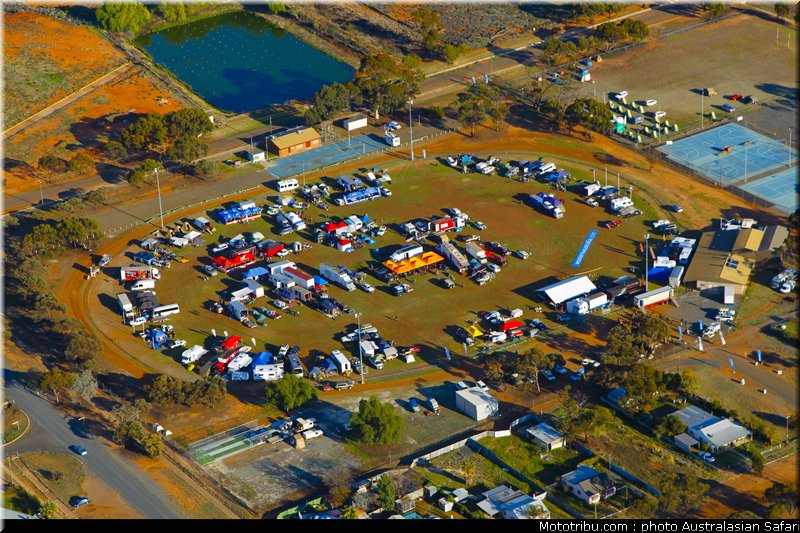 australasian_safari_057_2010