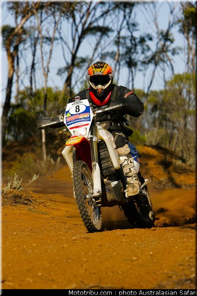 australasian_safari_beavis_2_2010