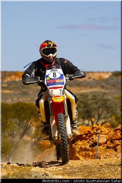 australasian_safari_beavis_3_2010