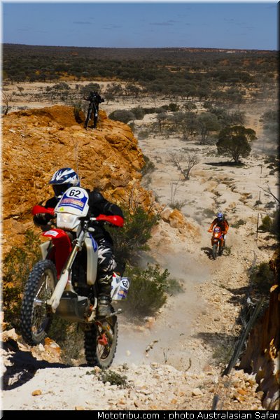 australasian_safari_broad_1_2010