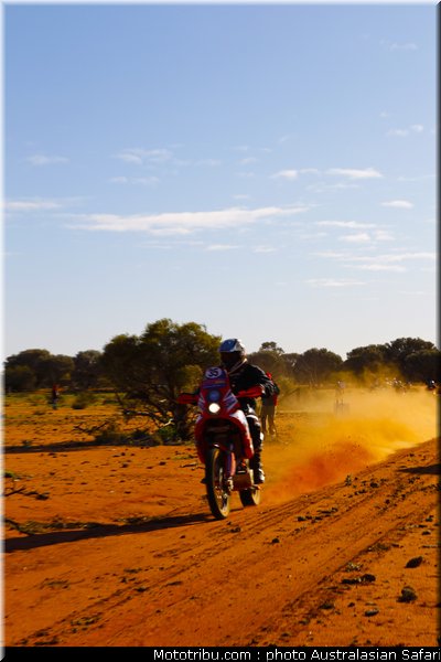 australasian_safari_diener_1_2010