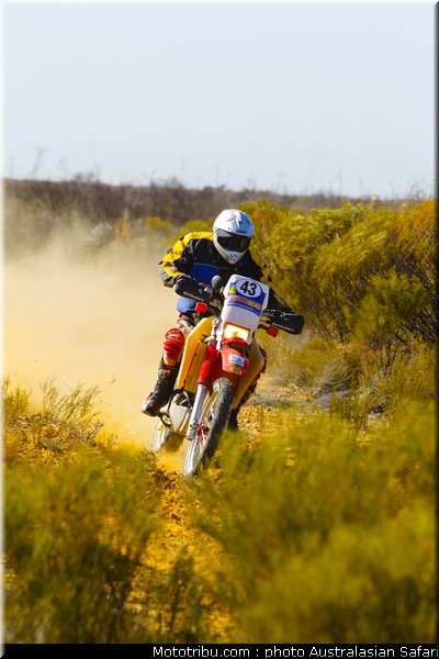 australasian_safari_diener_a_1_2010