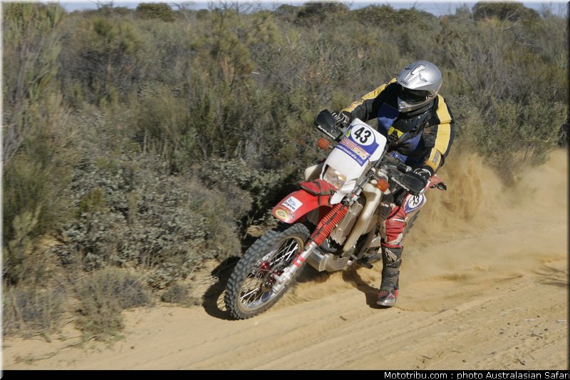 australasian_safari_diener_a_2_2010