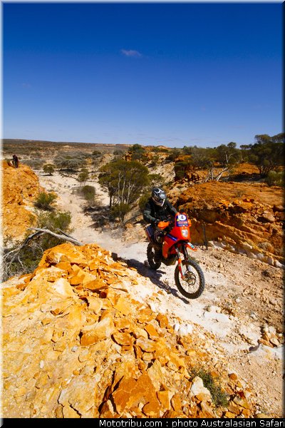 australasian_safari_erceg_2_2010