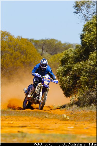 australasian_safari_faggotter_03_2010