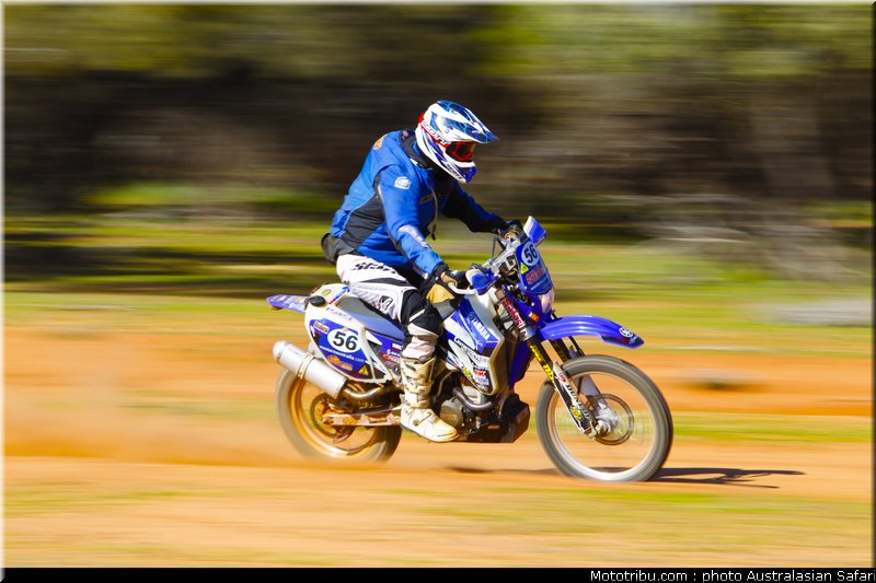 australasian_safari_faggotter_05_2010