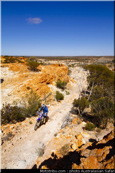 australasian_safari_faggotter_06_2010