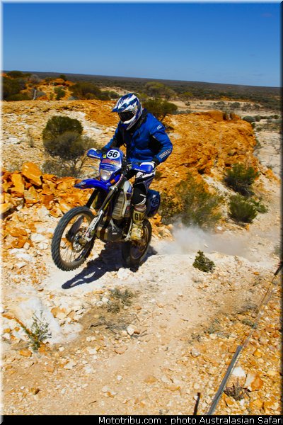 australasian_safari_faggotter_07_2010