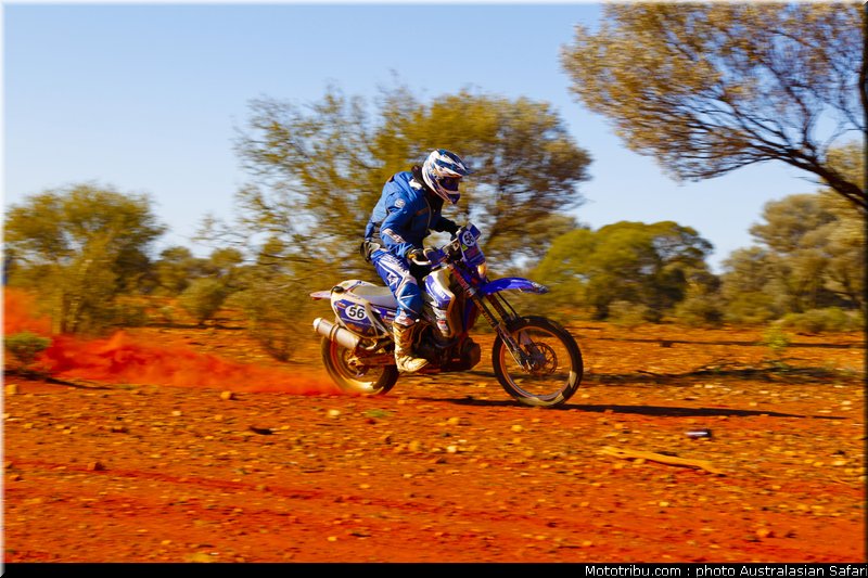 australasian_safari_faggotter_08_2010
