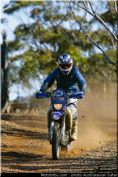 australasian_safari_faggotter_10_2010