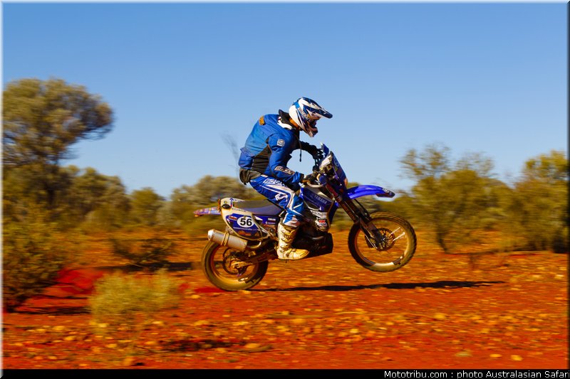 australasian_safari_faggotter_11_2010