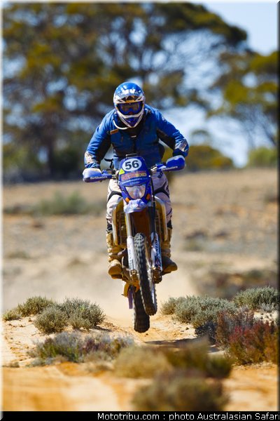 australasian_safari_faggotter_12_2010