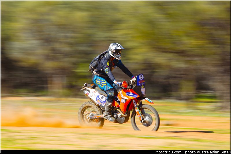 australasian_safari_fish_01_2010