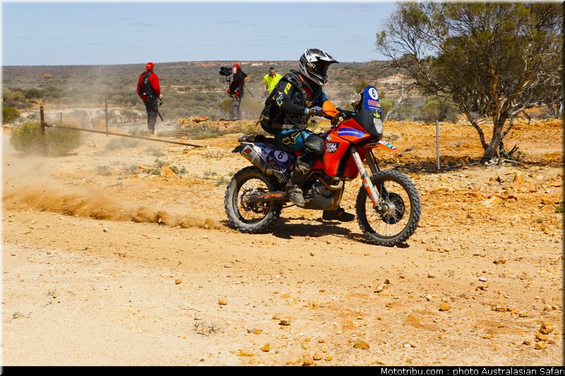 australasian_safari_fish_03_2010