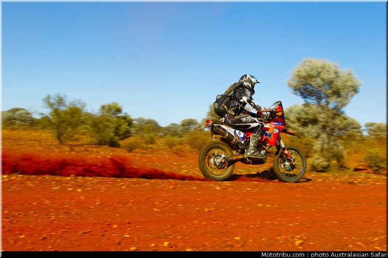 australasian_safari_fish_06_2010