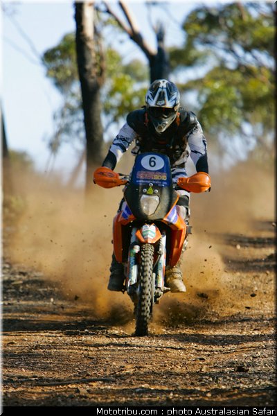 australasian_safari_fish_08_2010