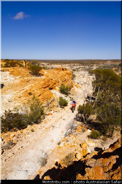 australasian_safari_graham_06_2010
