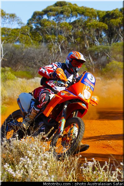 australasian_safari_graham_10_2010