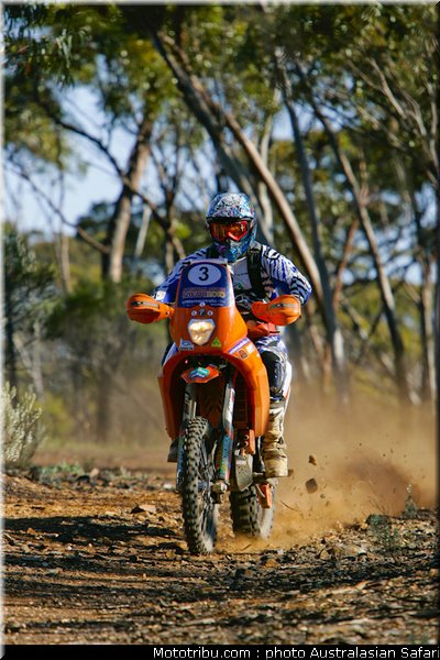 australasian_safari_graham_12_2010