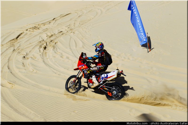 australasian_safari_graham_13_2010