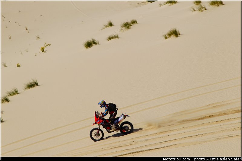 australasian_safari_graham_14_2010