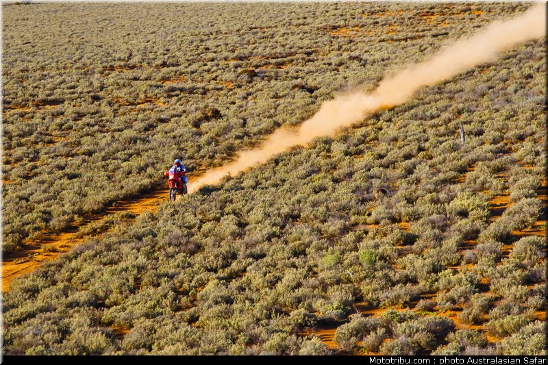 australasian_safari_graham_17_2010