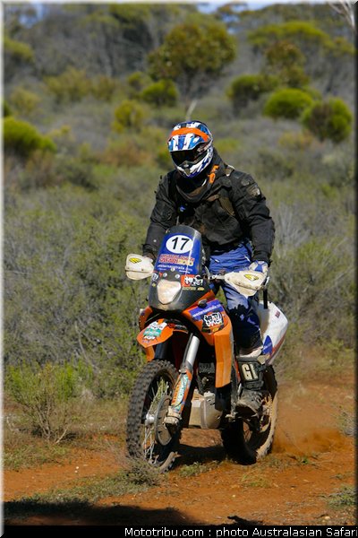 australasian_safari_ikematsu_1_2010