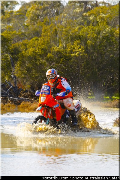 australasian_safari_mayfield_2_2010