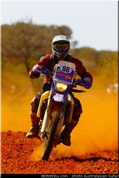 australasian_safari_mctainsh_2010