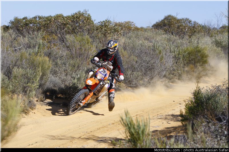 australasian_safari_nelligan_1_2010
