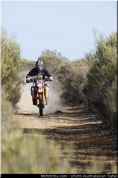 australasian_safari_nelligan_2_2010