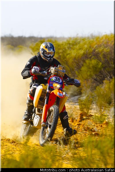 australasian_safari_nelligan_3_2010