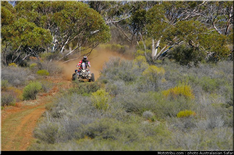 australasian_safari_quad_026_2010