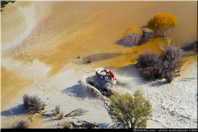 australasian_safari_quad_030_2010