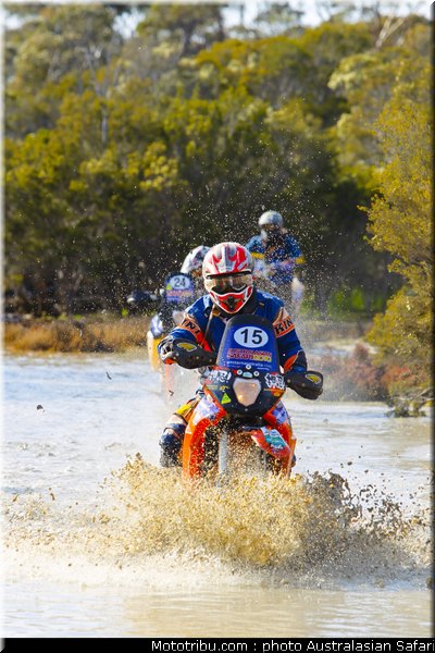 australasian_safari_saito_2010
