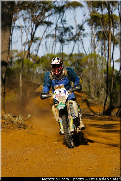 australasian_safari_schwarz_1_2010