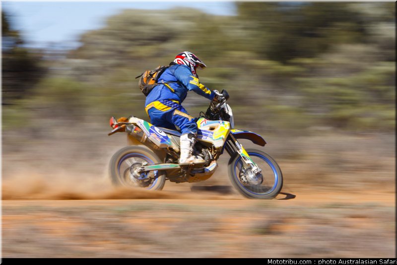 australasian_safari_schwarz_5_2010