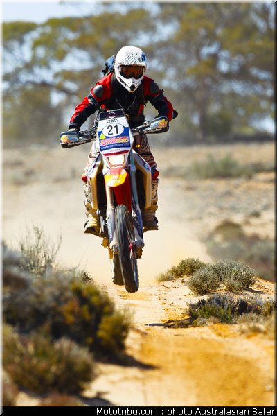 australasian_safari_scott_1_2010